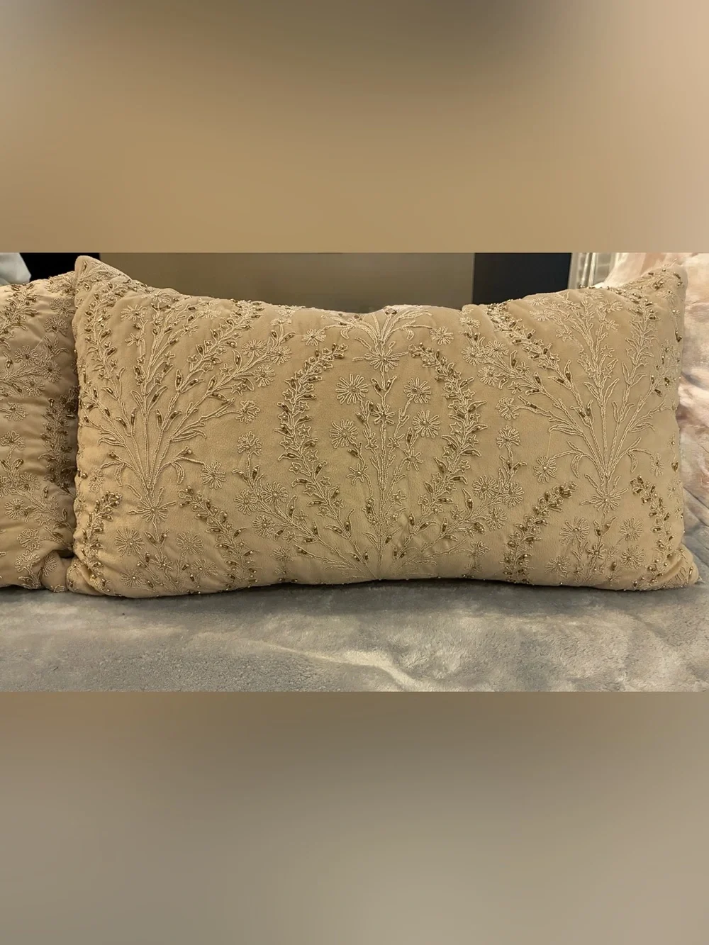 Embellished Decorative Throw Pillow Pair in Beige (2 Pillows)